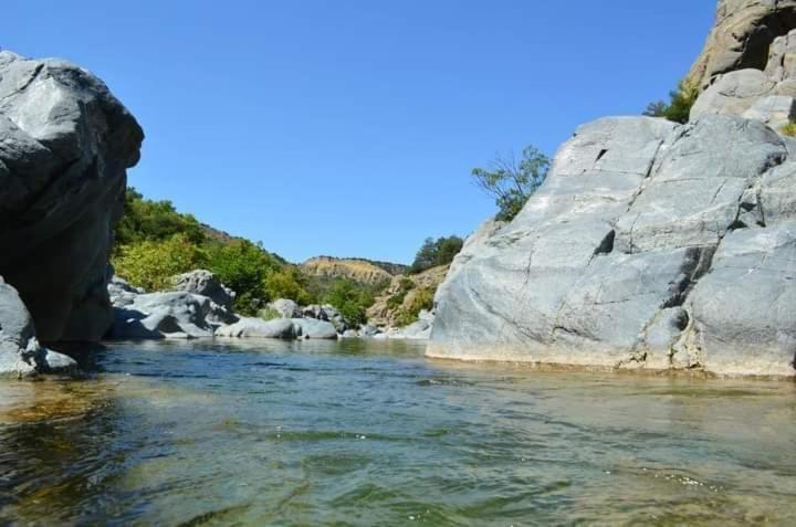 Villa Bratislava Demir Kapija Luaran gambar