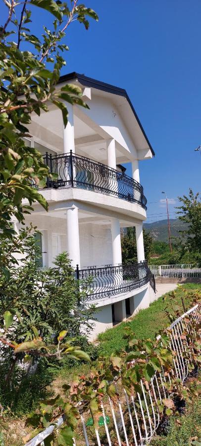 Villa Bratislava Demir Kapija Luaran gambar