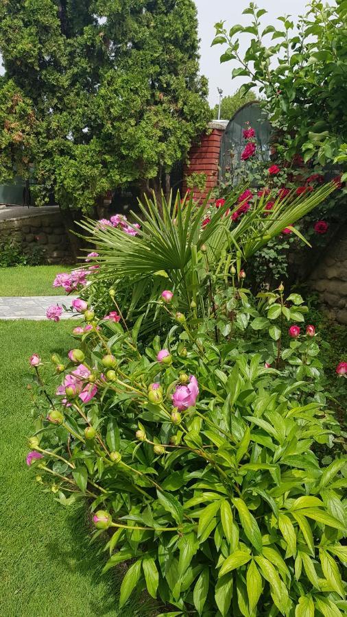 Villa Bratislava Demir Kapija Luaran gambar